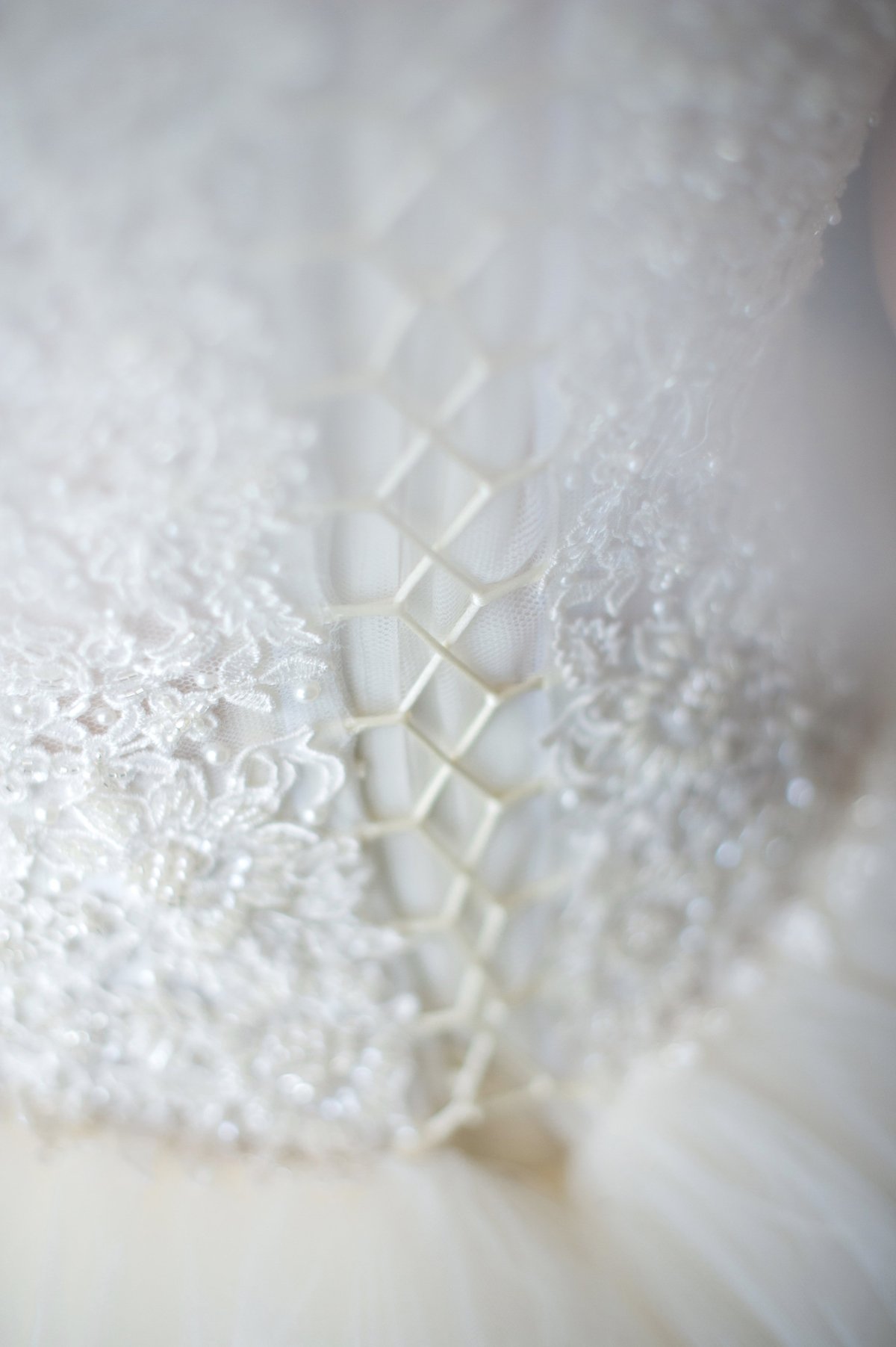The quinceañera - fifteen-year-old birthday girl