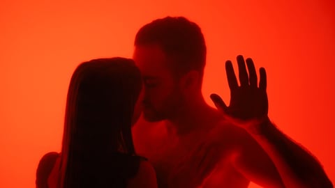 Passionate silhouette